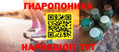 jwh Кингисепп