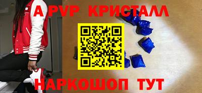 jwh Кингисепп