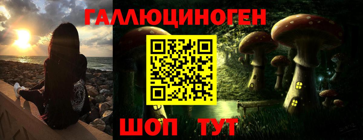 Галлюциногенные грибы Cubensis  Вход с VPN  Кириши 